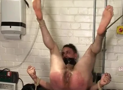 Breeder Fuckers Dale 4