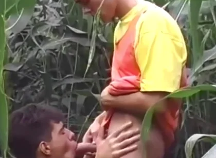 Frisky Sumer 1 - Parte 3