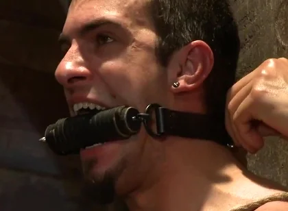 Phenix Rising - Phenix Saint And Patrick Rouge